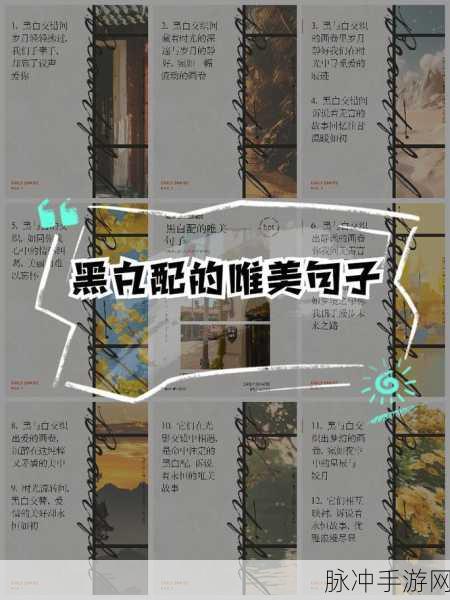 THEWHITEBOX黑白配:1. 黑白交织:探索THEWHITEBOX的艺术魅力