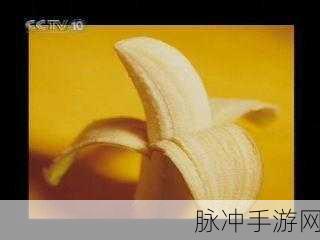 香蕉视频APP下载:1. 香蕉视频APP:畅享高清影视,随时随地看片无忧