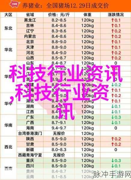 99亚洲精品卡2卡三卡4卡2卡:1. 探索99亚洲精品卡的多样功能与使用体验