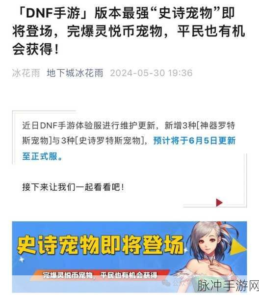 dnf宠物盘点:1. DNF宠物大揭秘:寻找最强搭档攻略