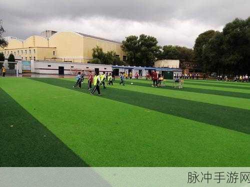 管道足球v0.985,智趣碰撞的休闲闯关新体验