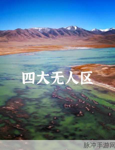 无人区码卡二卡在线:1. "无人区探秘:如何利用码卡技术实现在线拓展