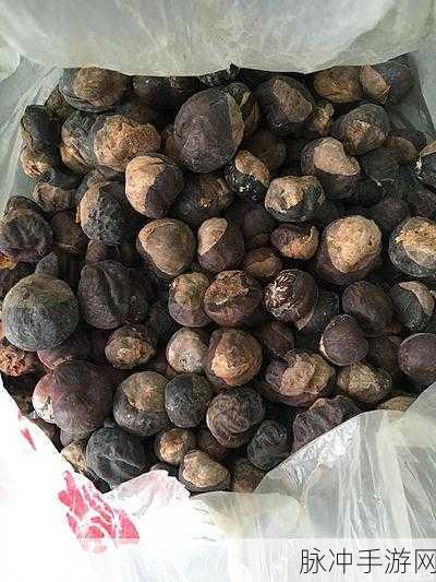 97精产国品一二三产区：1. 97精产国品：探索一二三产区的无限可能