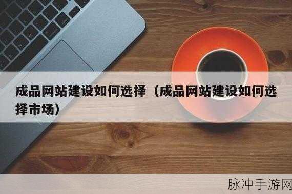 成品网站w灬：当然可以，这里有一些基于成品网站的拓展标题建议：