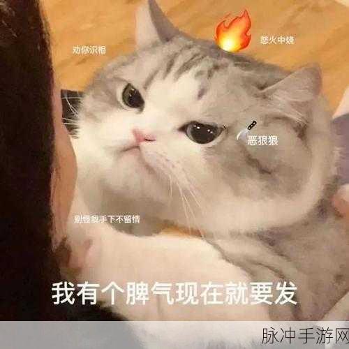 你会聊天吗来袭，解锁对话新乐趣，益智闯关乐无边