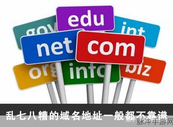 yp193.coc域名查询:1. 解析yp193.coc域名背后的秘密