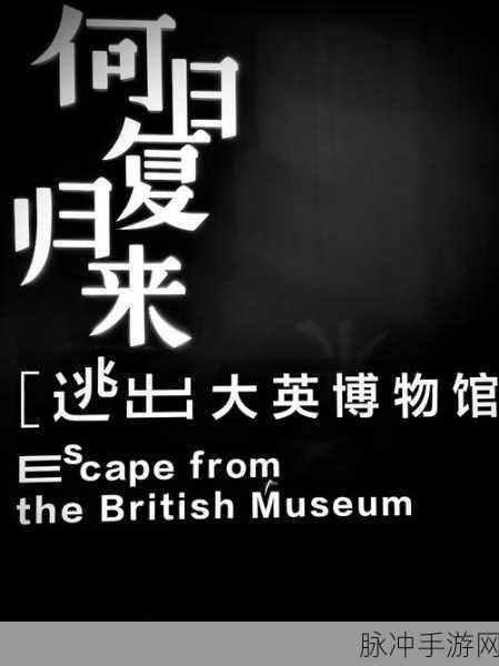 两个人看的www免费高清视频:1. 深夜影院:两人共享的高清视听之旅