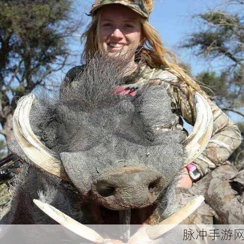饥饿的阿 猎手:当然可以!这里有一些扩展后的标题建议: