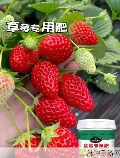 草莓视频88888:1. 草莓视频88888:畅享无限精彩的视听盛宴