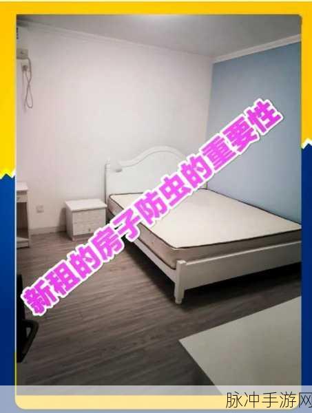 出租房里的交互康健：1. 租房生活中的健康互动新模式探索