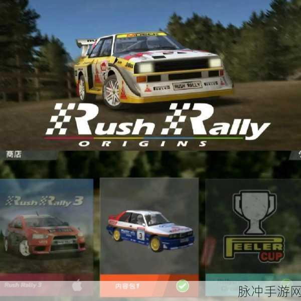 Rush游戏安卓版火爆抖音,挑战你的敏捷极限!