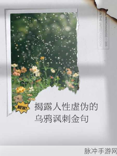 乌鸦重做:1. 《黑羽之翼:乌鸦的智慧与秘密