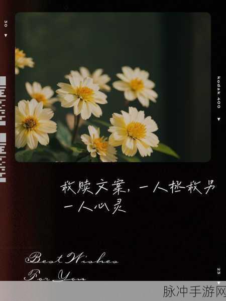 召唤梦魇结果母亲来了:1. 梦魇召唤:母亲的归来与心灵救赎