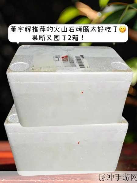 井川里予吃烤肠的起源和历史背景:“井川里予与烤肠:美食背后的文化传承与历史探索”
