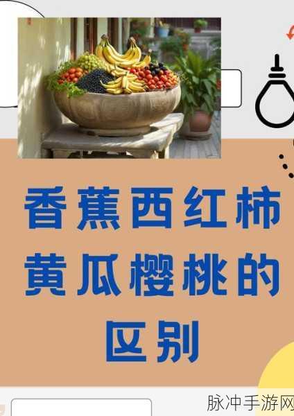 95香蕉视频:1. 发现95香蕉视频的独特魅力与精彩内容