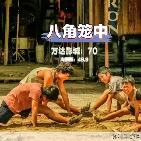 八角笼中开拍前投资全撤公司:1. 八角笼内热潮退却,投资全撤背后的商业考量