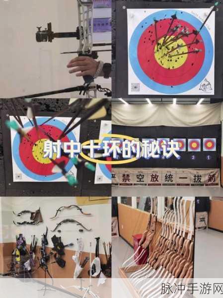 神箭之百步穿金,射箭爱好者的梦幻乐园,一箭倾心!