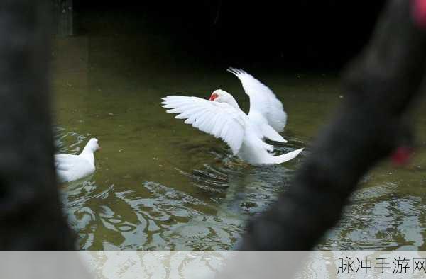 入禽大深免费高清视频：1. 深入探索入禽大深的奇幻世界