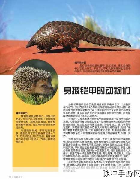 像素动物进化论,解锁轻松搞笑的动物进化之旅