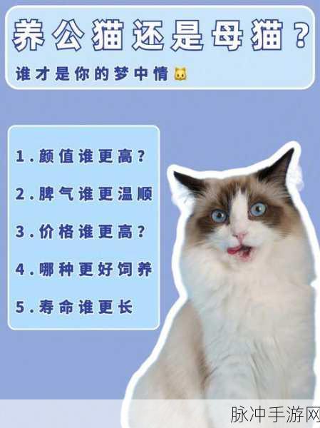 情一区二区三区:当然可以!以下是一些扩展后的标题建议:
