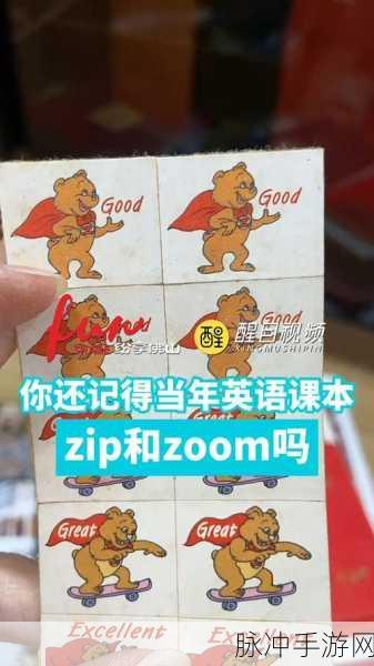 日本Zoom与国产Zoom对比:日本Zoom与国产Zoom的功能差异及用户体验分析