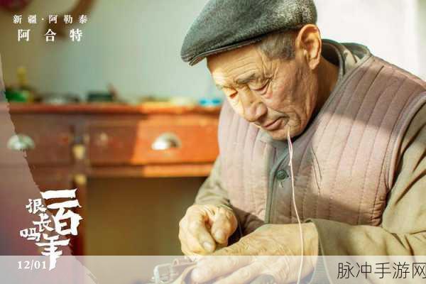 手手今歹:1. 手手今歹:探寻生活中的不平凡瞬间