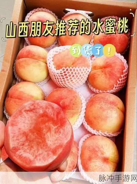 水蜜桃YS:1. 水蜜桃的甜蜜诱惑:夏日味觉盛宴