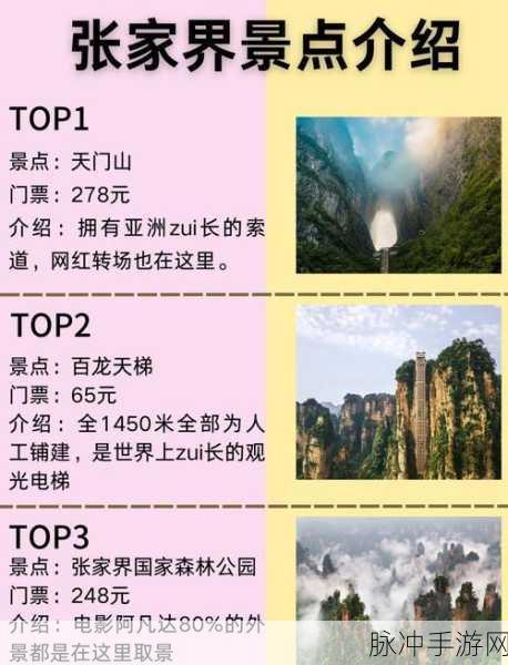 太久永久回家地址tai99.cc 保存永不迷路:1. 探索太久永久回家的神秘之旅