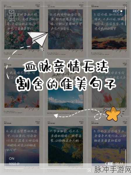 几个老爷弄一个丫头的说说心情:1. 追寻心底的温暖:老爷与丫头之间的情感纠葛