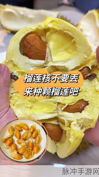 《榴莲 芭乐 草莓》最新:1. 《榴莲、芭乐与草莓的味觉奇遇记