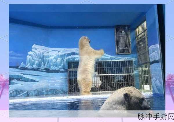 动物滑雪场UAN,一场治愈系放置休闲的冰雪奇缘