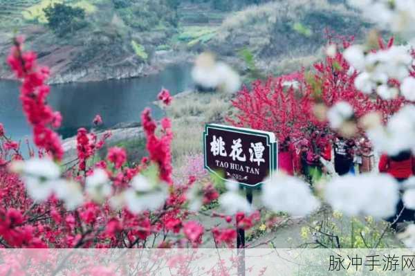 桃花岛cm7:当然可以!以下是关于桃花岛CM7的几个新标题建议: