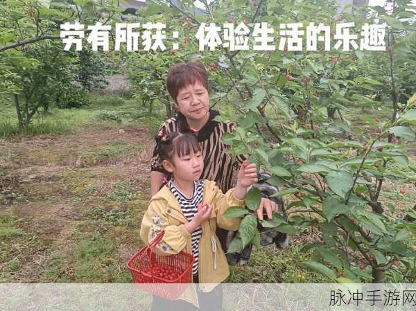 樱桃小视频在线观看:1. 樱桃小视频:探索生活中的美好瞬间