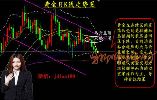 黄金网站app在线观看大全免费视频：1. ＂探索最新黄金市场动态，实时行情尽在掌握