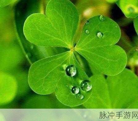 国精产品w灬源码三叶草:当然可以,以下是一些基于“国精产品w灬源码三叶草”的拓展