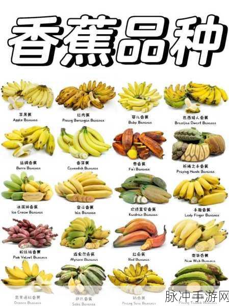 99精产国品一二三产品香蕉：1. 99精产国品：香蕉的多种美味吃法探索