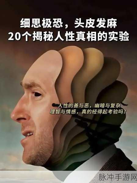 探索未知,揭秘真相,3分钟悬念馆带你领略悬疑解密魅力