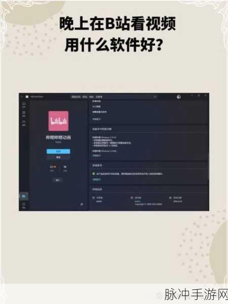 浏览器观看B站视频的最佳设置:优化浏览器设置以提升B站视频观看体验的详细指南
