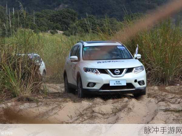 日产无人区一线二线三线乱码蘑菇:1. 探索日产无人区的神秘蘑菇生态