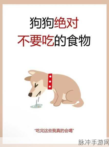 人狗胶配方大全狗狗一天吃多少：1. 狗狗每日饮食指南：科学掌握喂养量