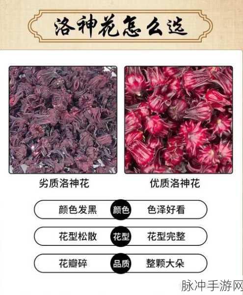 九一果冻制品厂最新电视剧红桃：1. 《红桃里的秘密：果冻厂的爱情故事