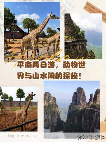 探秘神奇动物世界，一款萌化你心的休闲冒险之旅
