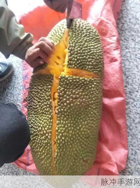 菠萝蜜在线观看:1. 菠萝蜜:甜蜜与冒险的奇幻旅程