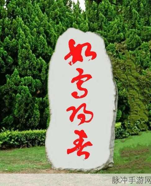 知道错了请主人教训:1. 认识错误的重要性,如何从中成长