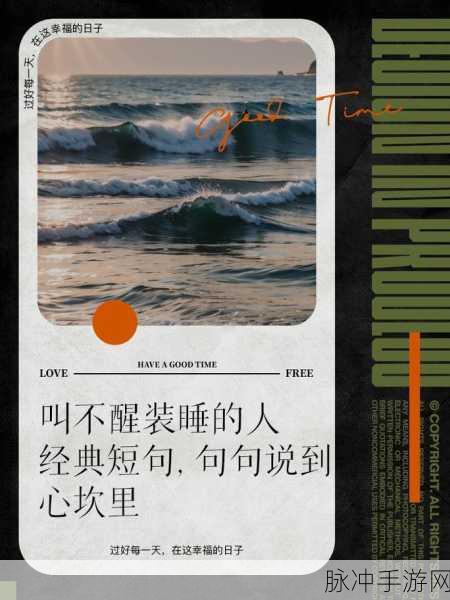 岳装睡让我弄进去了：1. 岳装睡之谜：我如何成功闯入她的心