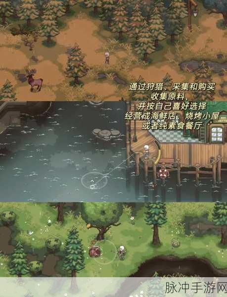 永恒幻想曲,像素风潮下的横版对战RPG冒险之旅