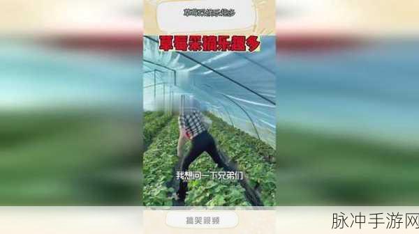 草莓视频无限免费观看污：1. 探索草莓视频的无尽乐趣与无限资源