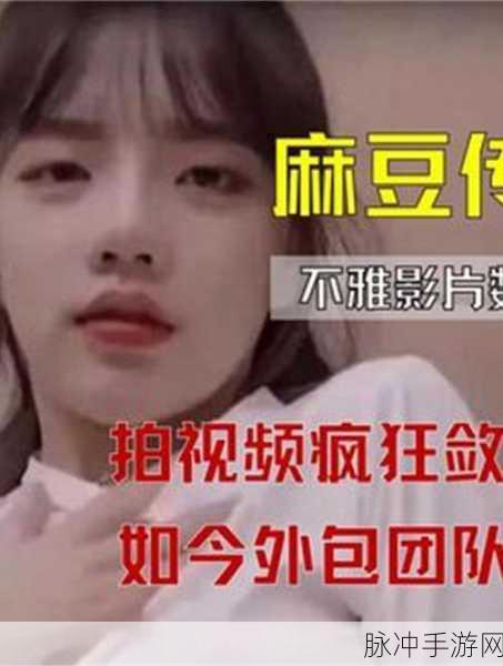 麻麻豆视频传媒入口