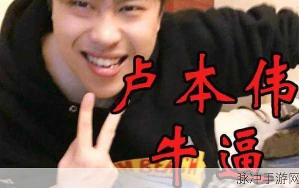 卢本伟什么时候复出:1. 卢本伟复出之路:粉丝期待与挑战并存