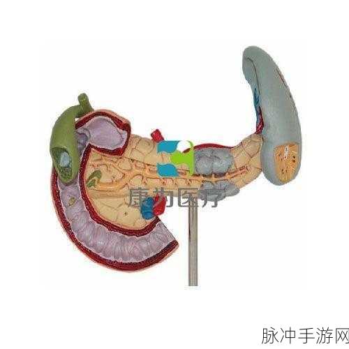 大肠的复仇手机版来袭，沉浸式医疗模拟新体验